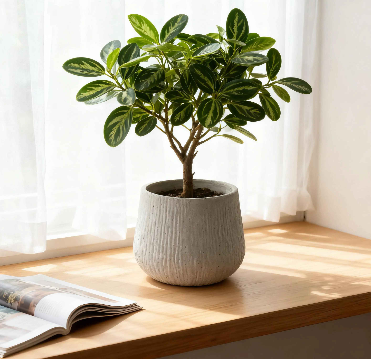 11Dia X 9.06 H Large Round Planters For Indoor Plants, Outdoor Planters With Drainage Holes, Magnesium Oxide Plant Pot With Cement Texture Plant Pots Indoor & Outdoor For Home Garden Patio