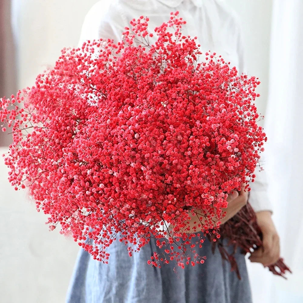 40-50cm Natural Fresh Dried Flowers Gypsophila paniculata,Baby's Breath Flower bouquets,gift & Wedding Decoration,Home Decor The Home Essentials