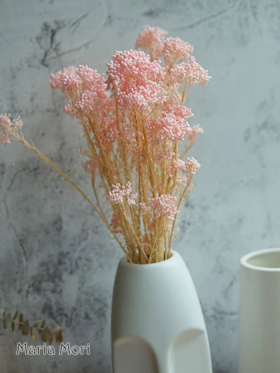 40g/Nordic Style Dried Preserved Flowers Real Natural Floral Millet Flower For Home Wedding Party Office Decoration DIY Material The Home Essentials