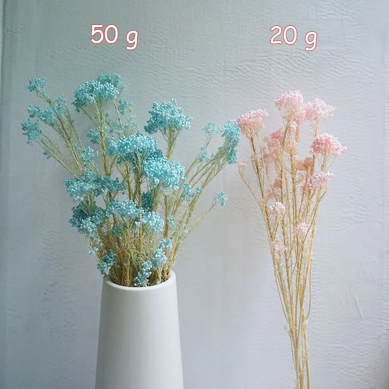 40g/Nordic Style Dried Preserved Flowers Real Natural Floral Millet Flower For Home Wedding Party Office Decoration DIY Material The Home Essentials