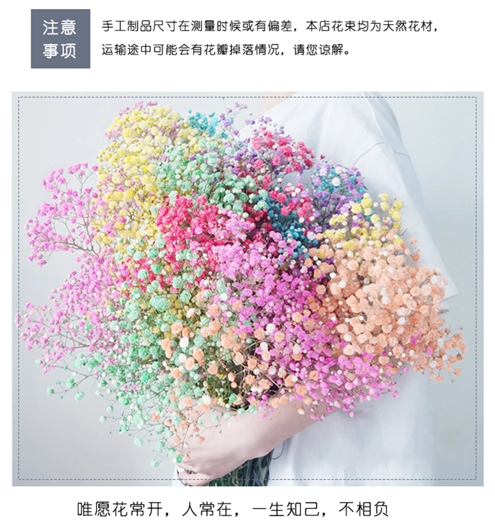 40-50cm Natural Fresh Dried Flowers Gypsophila paniculata,Baby's Breath Flower bouquets,gift & Wedding Decoration,Home Decor