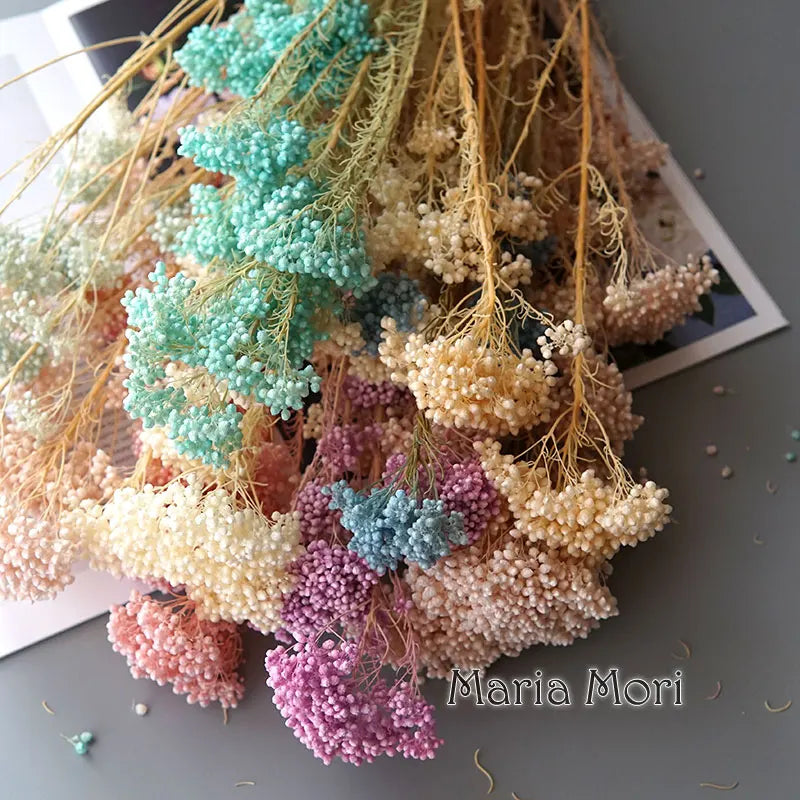 40g/Nordic Style Dried Preserved Flowers Real Natural Floral Millet Flower For Home Wedding Party Office Decoration DIY Material The Home Essentials