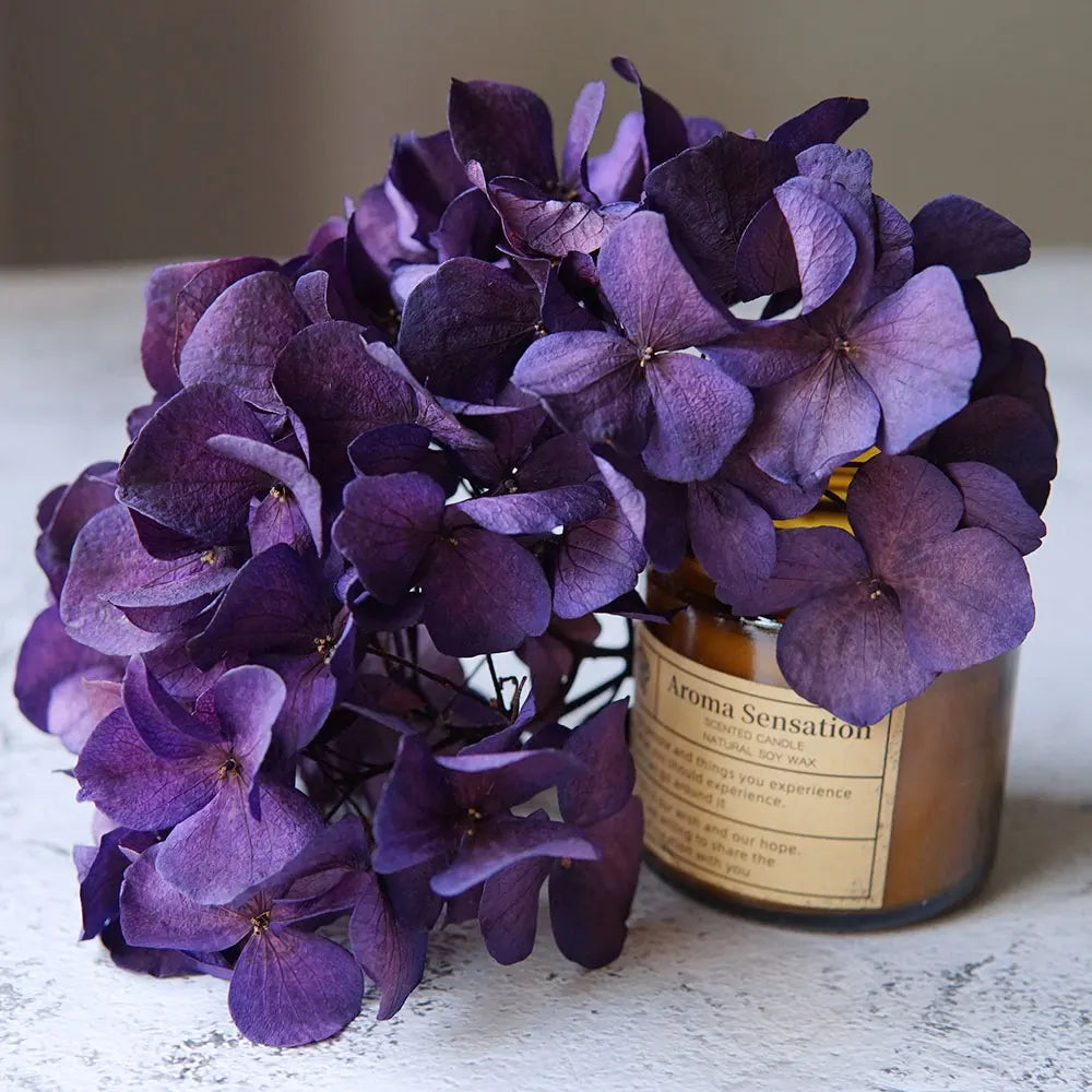 10g/pack Big Petals Macrophylla Hydrangea Preserved Hydrangea Office Decor Preserved Flowers Home Decoration Wedding Decoration