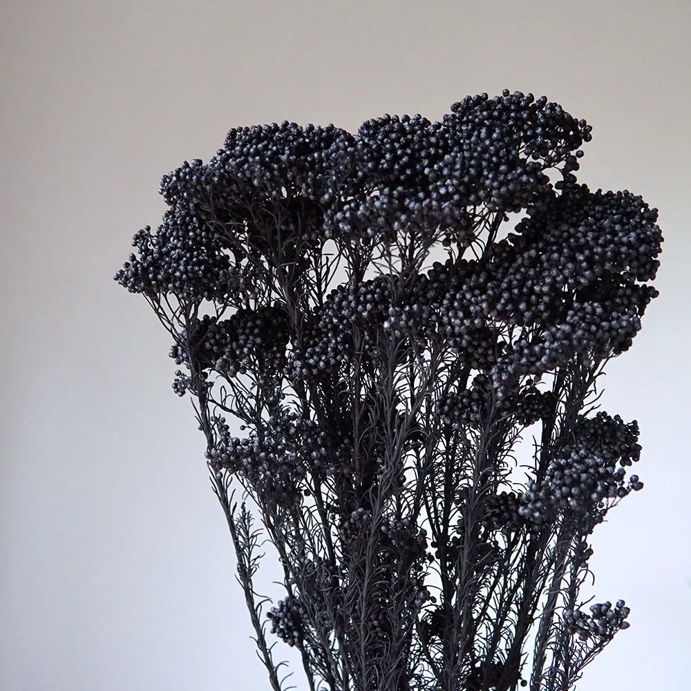 40g/Nordic Style Dried Preserved Flowers Real Natural Floral Millet Flower For Home Wedding Party Office Decoration DIY Material The Home Essentials