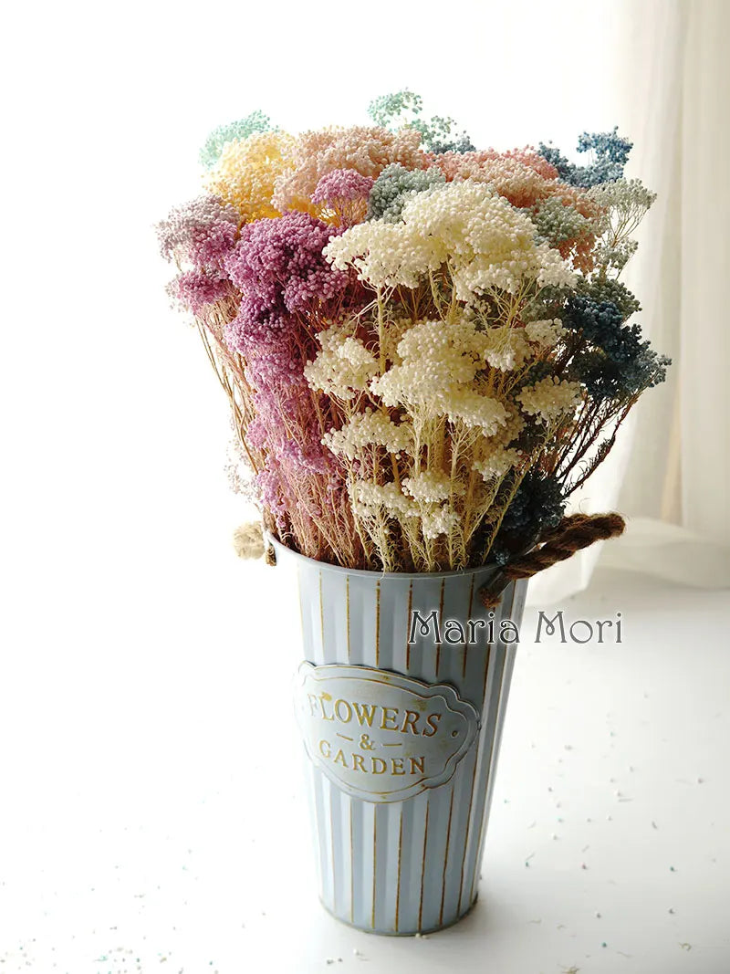 40g/Nordic Style Dried Preserved Flowers Real Natural Floral Millet Flower For Home Wedding Party Office Decoration DIY Material The Home Essentials