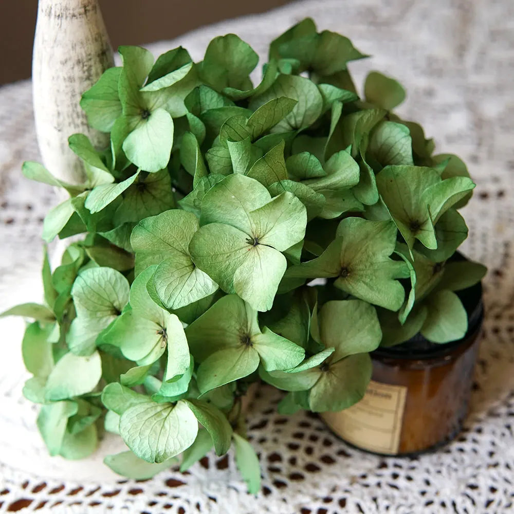 10g/pack Big Petals Macrophylla Hydrangea Preserved Hydrangea Office Decor Preserved Flowers Home Decoration Wedding Decoration