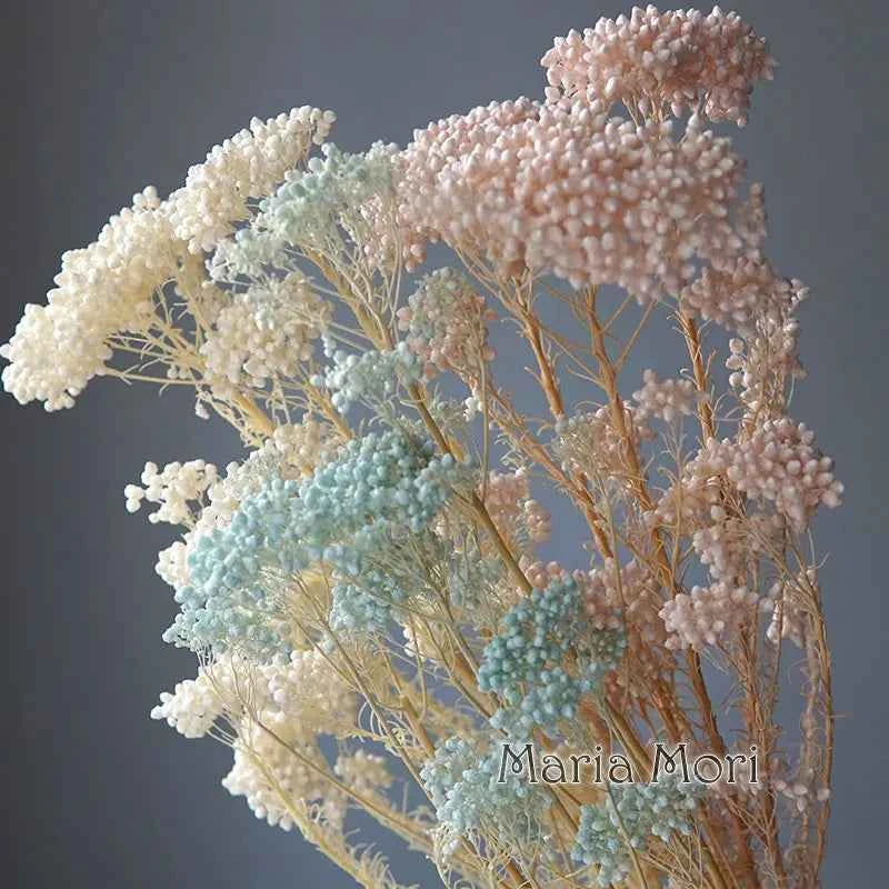 40g/Nordic Style Dried Preserved Flowers Real Natural Floral Millet Flower For Home Wedding Party Office Decoration DIY Material