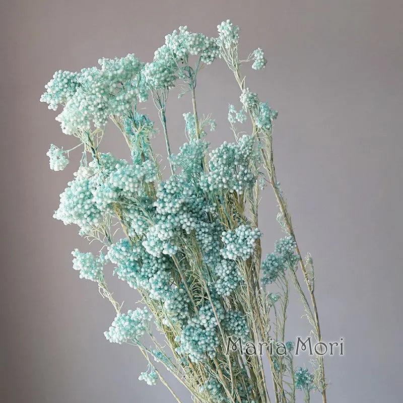 40g/Nordic Style Dried Preserved Flowers Real Natural Floral Millet Flower For Home Wedding Party Office Decoration DIY Material The Home Essentials