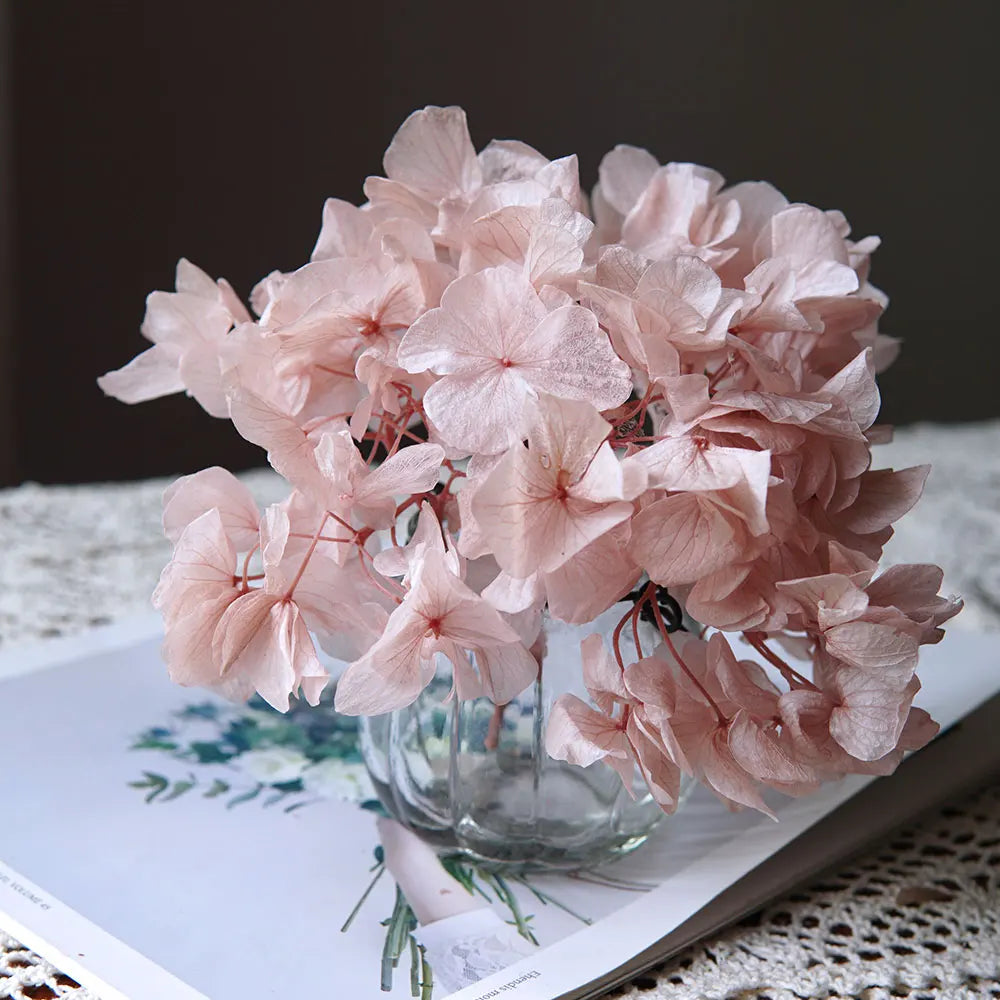 10g/pack Big Petals Macrophylla Hydrangea Preserved Hydrangea Office Decor Preserved Flowers Home Decoration Wedding Decoration