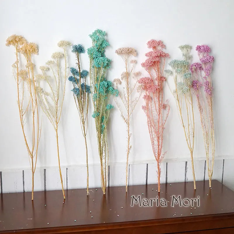40g/Nordic Style Dried Preserved Flowers Real Natural Floral Millet Flower For Home Wedding Party Office Decoration DIY Material The Home Essentials