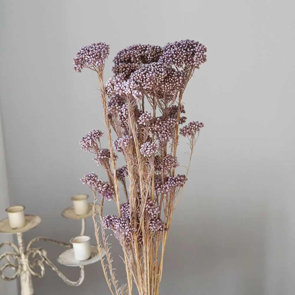 40g/Nordic Style Dried Preserved Flowers Real Natural Floral Millet Flower For Home Wedding Party Office Decoration DIY Material The Home Essentials