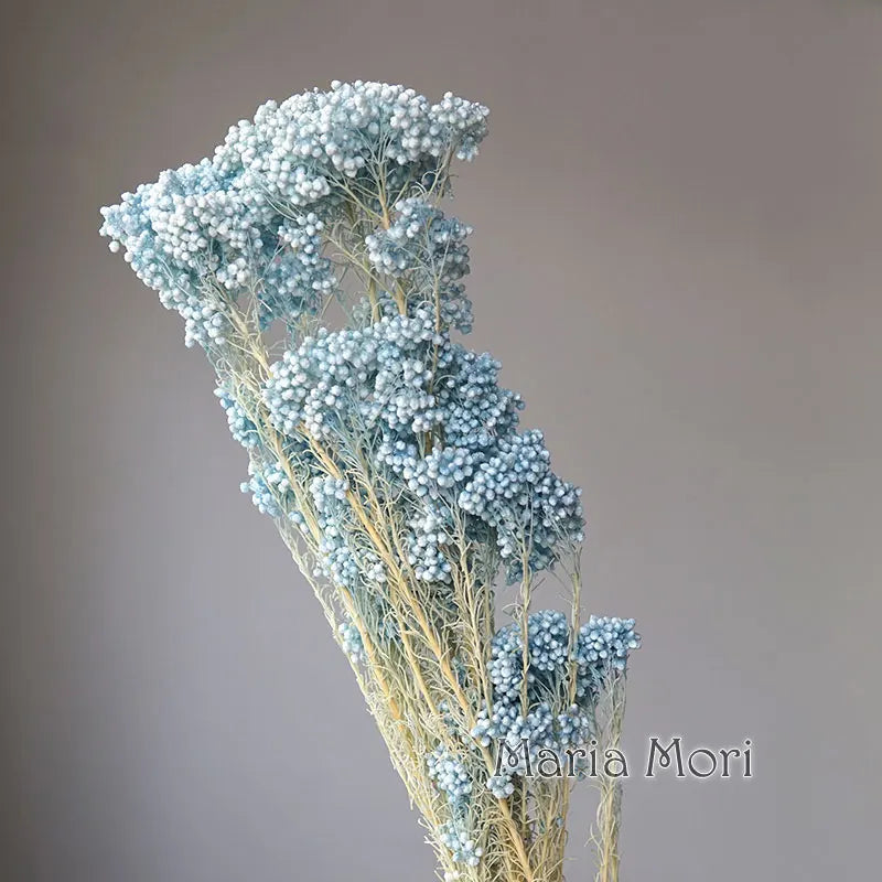 40g/Nordic Style Dried Preserved Flowers Real Natural Floral Millet Flower For Home Wedding Party Office Decoration DIY Material The Home Essentials