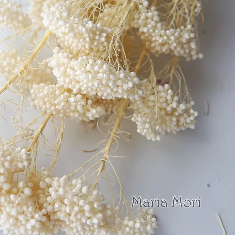 40g/Nordic Style Dried Preserved Flowers Real Natural Floral Millet Flower For Home Wedding Party Office Decoration DIY Material The Home Essentials