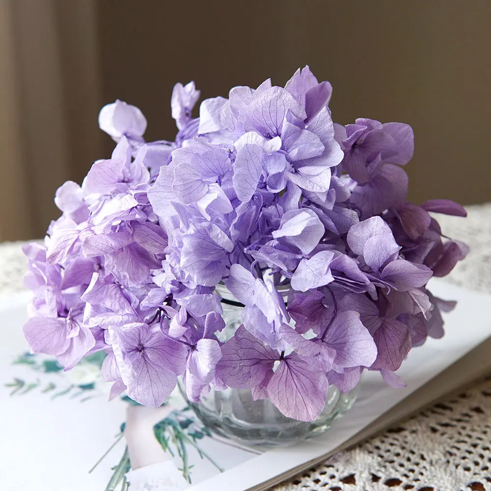 10g/pack Big Petals Macrophylla Hydrangea Preserved Hydrangea Office Decor Preserved Flowers Home Decoration Wedding Decoration