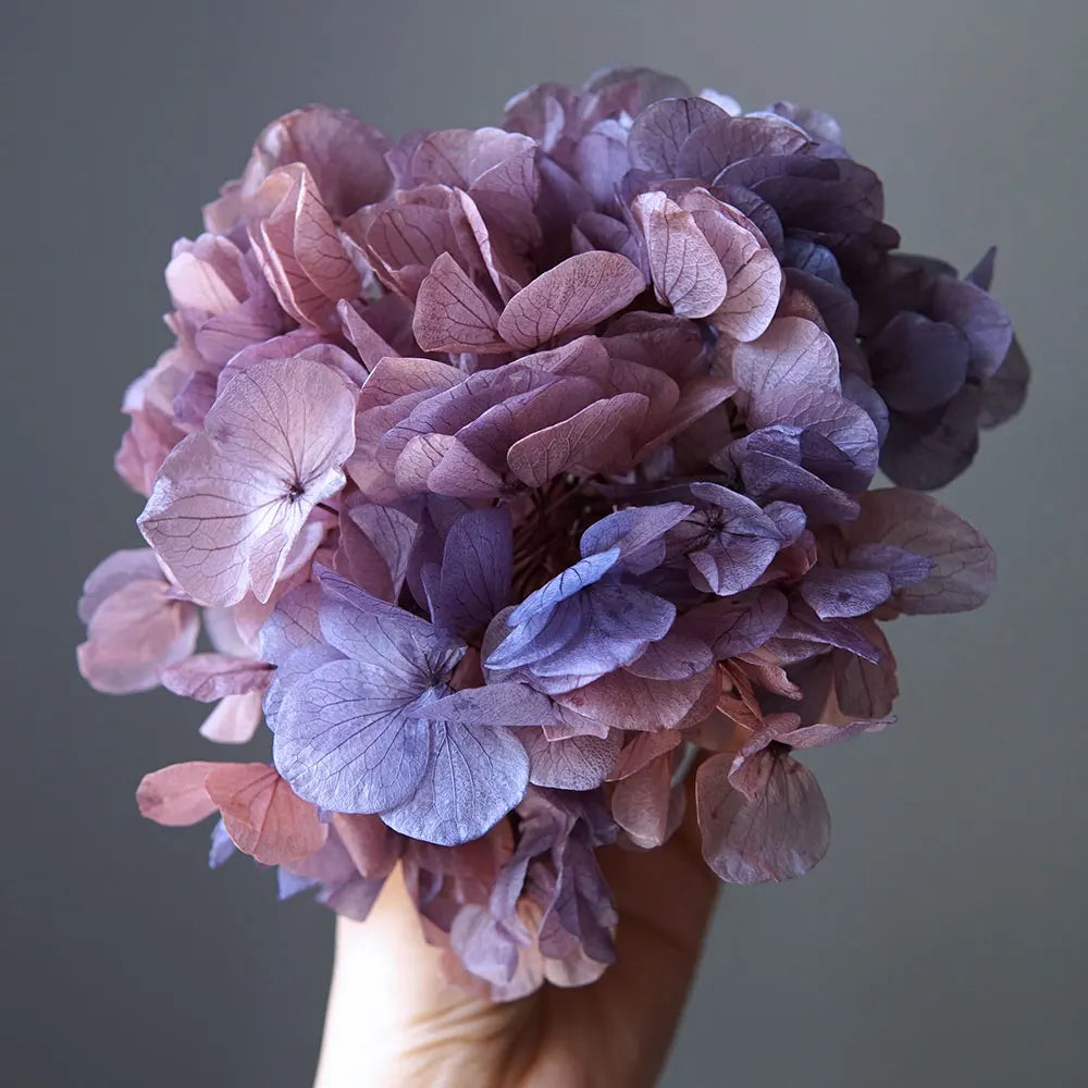 10g/pack Big Petals Macrophylla Hydrangea Preserved Hydrangea Office Decor Preserved Flowers Home Decoration Wedding Decoration