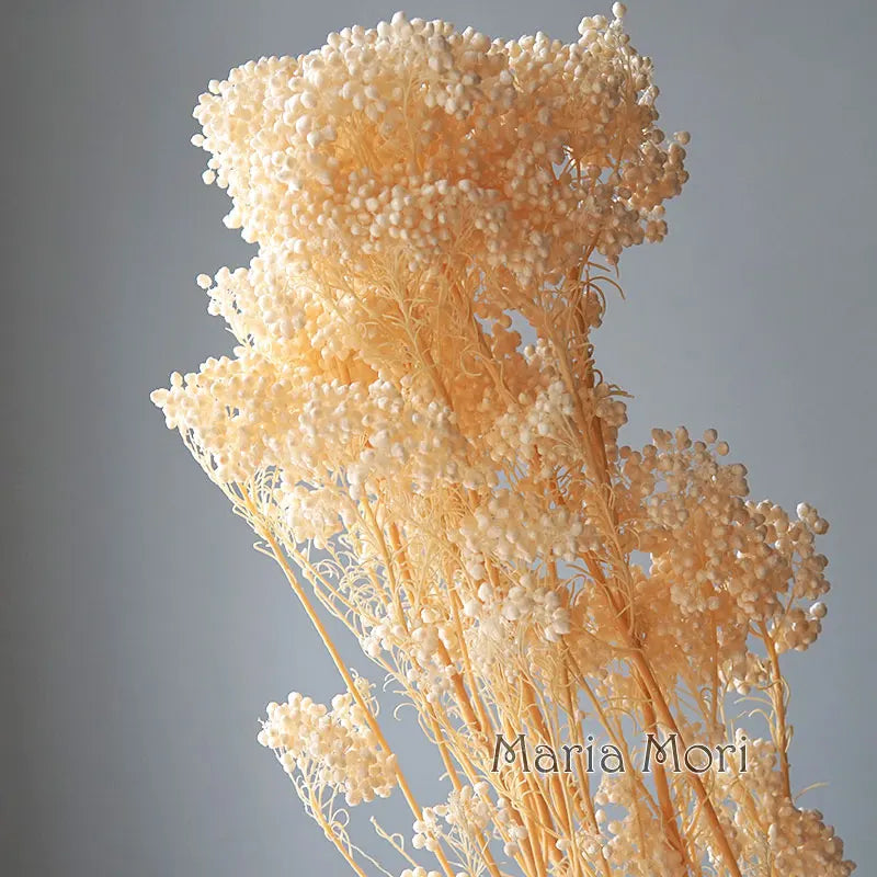 40g/Nordic Style Dried Preserved Flowers Real Natural Floral Millet Flower For Home Wedding Party Office Decoration DIY Material The Home Essentials