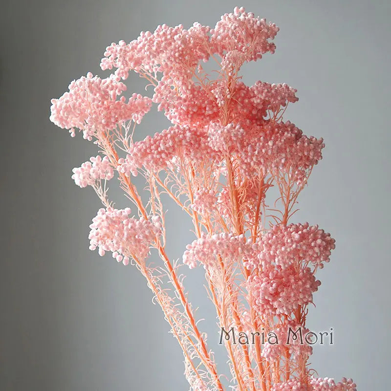 40g/Nordic Style Dried Preserved Flowers Real Natural Floral Millet Flower For Home Wedding Party Office Decoration DIY Material The Home Essentials