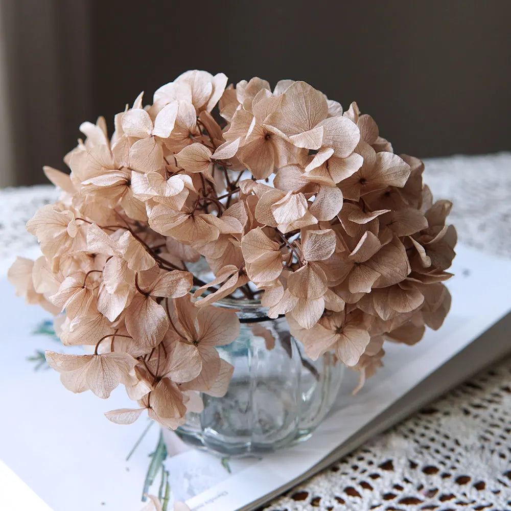 10g/pack Big Petals Macrophylla Hydrangea Preserved Hydrangea Office Decor Preserved Flowers Home Decoration Wedding Decoration