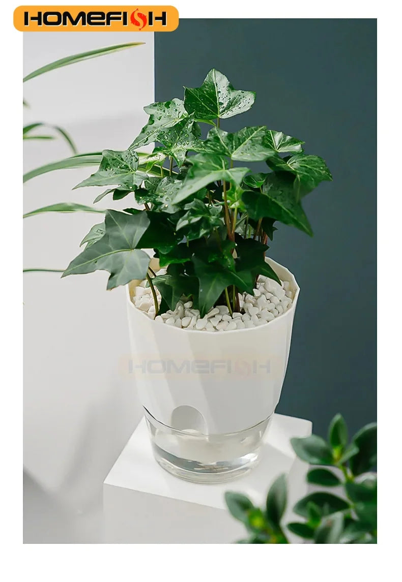 Lazy Hydroponic Flower Pot Automatic Water-Absorbing Flowerpot Transparent Double Layer Plastic Self Watering Planter Office The Home Essentials