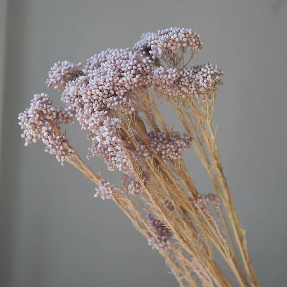 40g/Nordic Style Dried Preserved Flowers Real Natural Floral Millet Flower For Home Wedding Party Office Decoration DIY Material The Home Essentials