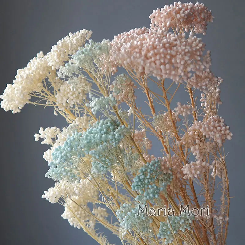 40g/Nordic Style Dried Preserved Flowers Real Natural Floral Millet Flower For Home Wedding Party Office Decoration DIY Material The Home Essentials
