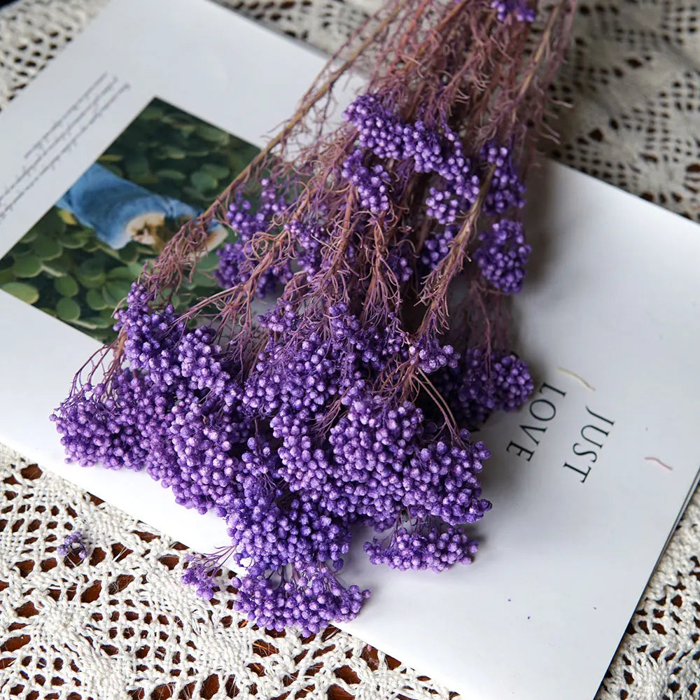 40g/Nordic Style Dried Preserved Flowers Real Natural Floral Millet Flower For Home Wedding Party Office Decoration DIY Material The Home Essentials
