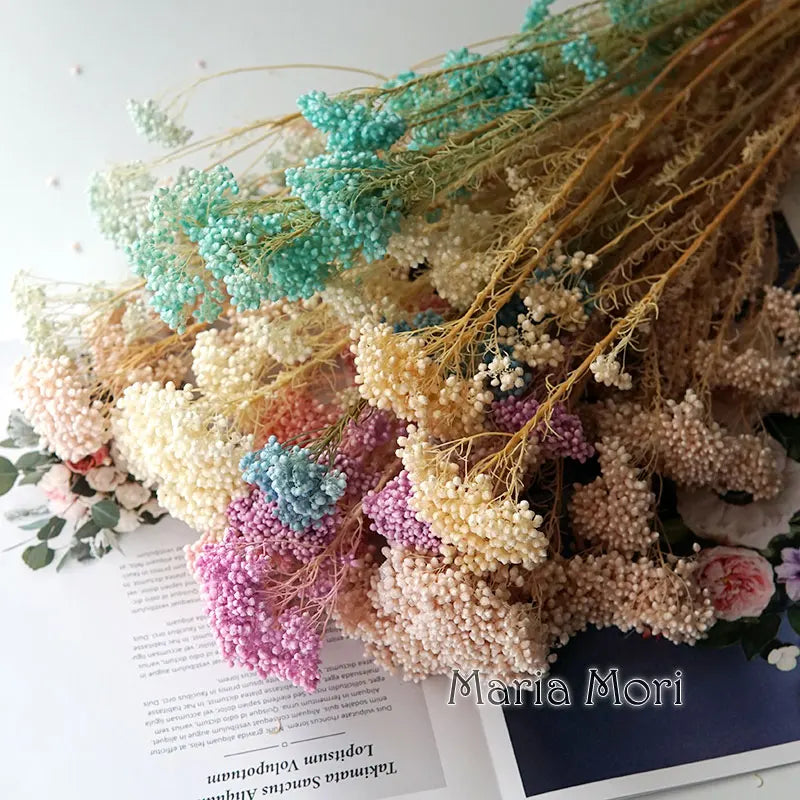 40g/Nordic Style Dried Preserved Flowers Real Natural Floral Millet Flower For Home Wedding Party Office Decoration DIY Material The Home Essentials