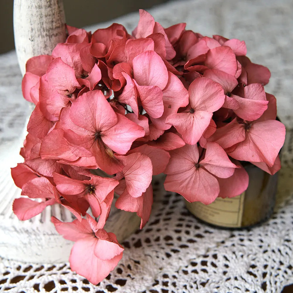 10g/pack Big Petals Macrophylla Hydrangea Preserved Hydrangea Office Decor Preserved Flowers Home Decoration Wedding Decoration
