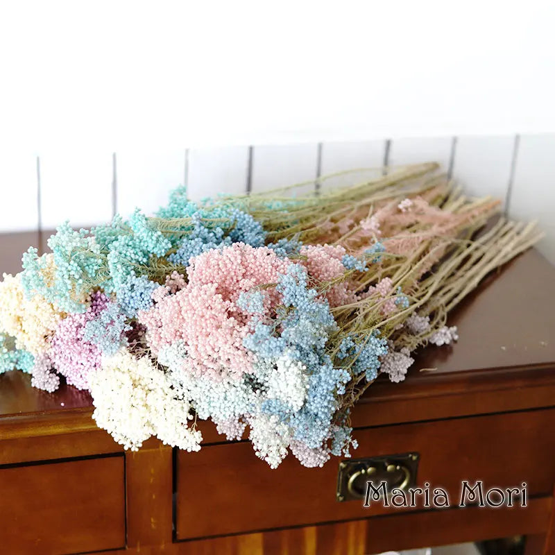40g/Nordic Style Dried Preserved Flowers Real Natural Floral Millet Flower For Home Wedding Party Office Decoration DIY Material The Home Essentials
