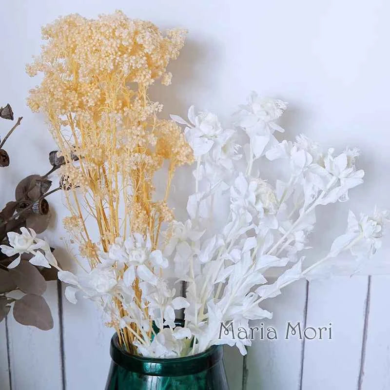 40g/Nordic Style Dried Preserved Flowers Real Natural Floral Millet Flower For Home Wedding Party Office Decoration DIY Material