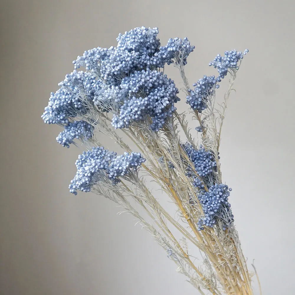 40g/Nordic Style Dried Preserved Flowers Real Natural Floral Millet Flower For Home Wedding Party Office Decoration DIY Material The Home Essentials