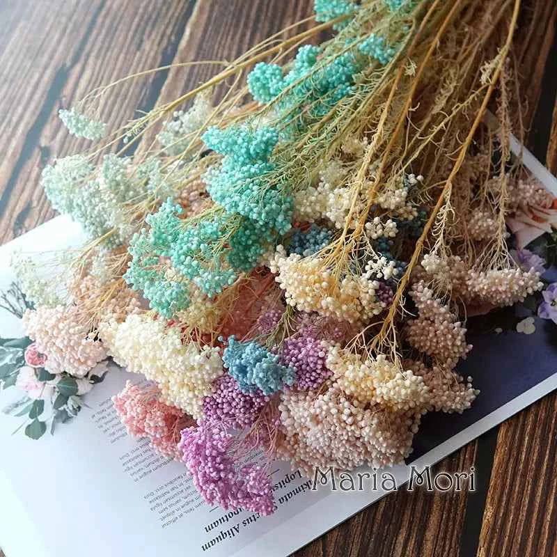 40g/Nordic Style Dried Preserved Flowers Real Natural Floral Millet Flower For Home Wedding Party Office Decoration DIY Material