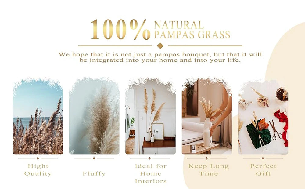 Pink White Dried Flowers Mariage Bouquet Centerpieces for Weddings Natural Pampas Grass Real Gypsophile Nordic Boho Home Decor The Home Essentials
