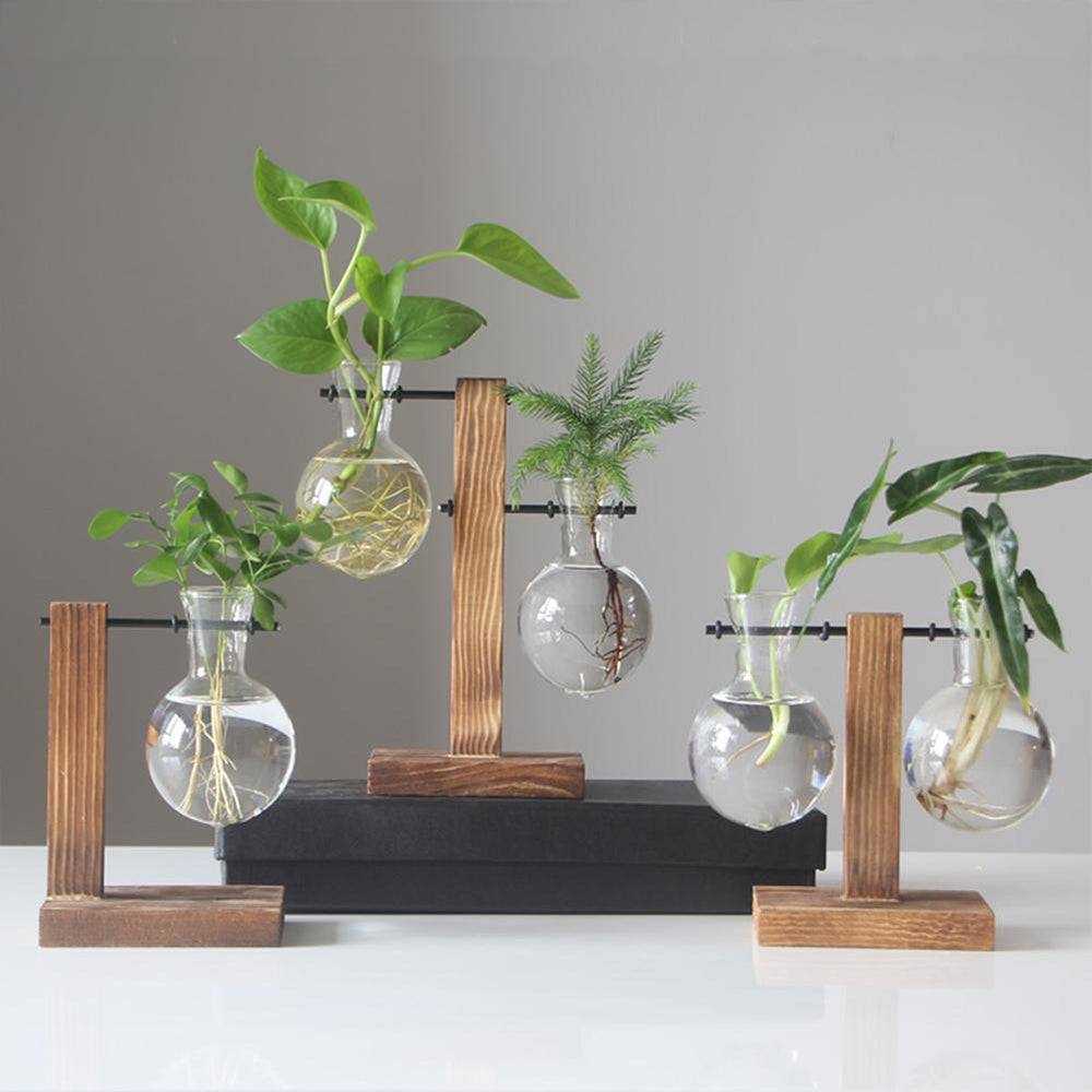 Creative Glass Desktop Planter Bulb Vase Wooden Stand Hydroponic Plant Container Home Tabletop Decor Vases The Home Essentials