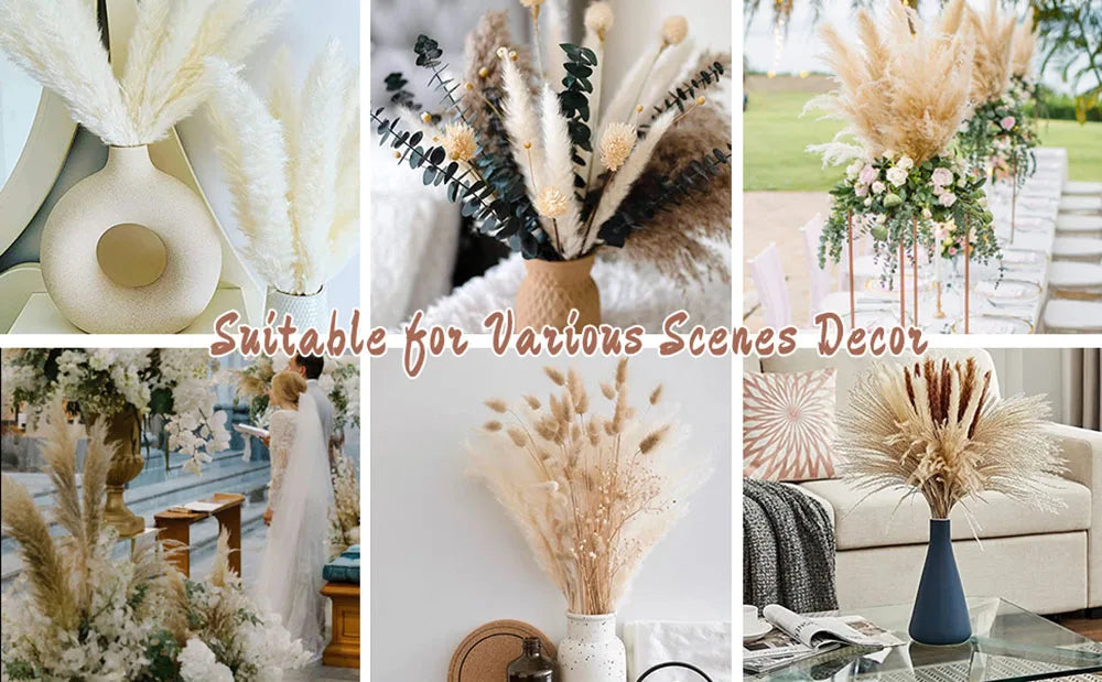 Pink White Dried Flowers Mariage Bouquet Centerpieces for Weddings Natural Pampas Grass Real Gypsophile Nordic Boho Home Decor The Home Essentials