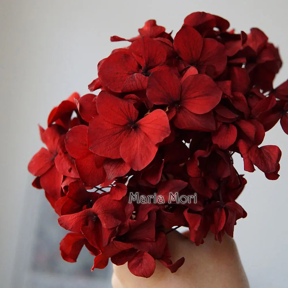 10g/pack Big Petals Macrophylla Hydrangea Preserved Hydrangea Office Decor Preserved Flowers Home Decoration Wedding Decoration