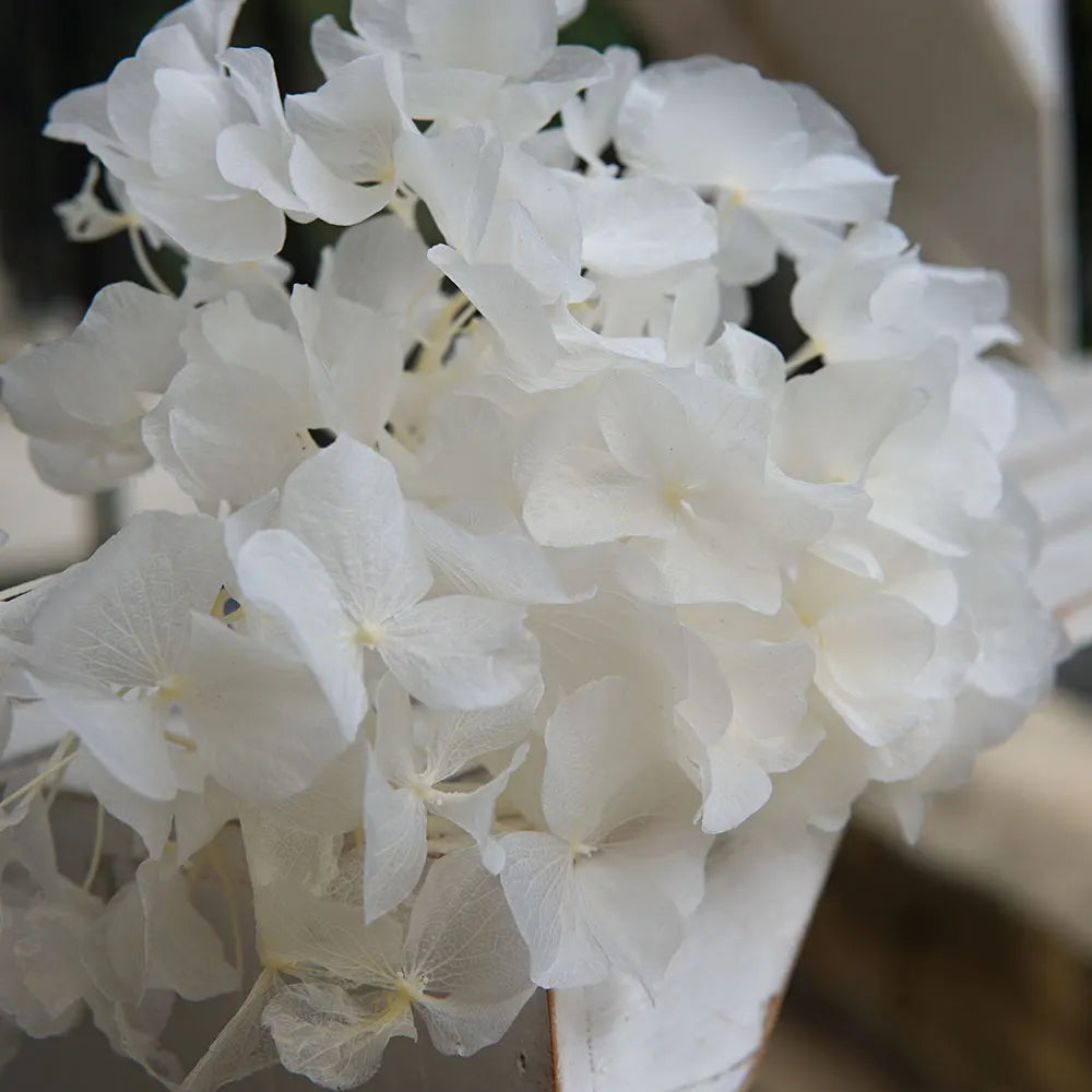 10g/pack Big Petals Macrophylla Hydrangea Preserved Hydrangea Office Decor Preserved Flowers Home Decoration Wedding Decoration