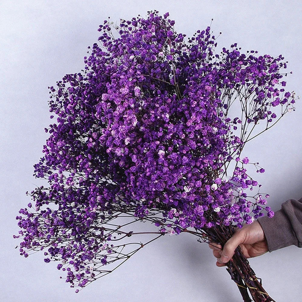 40-50cm Natural Fresh Dried Flowers Gypsophila paniculata,Baby's Breath Flower bouquets,gift & Wedding Decoration,Home Decor