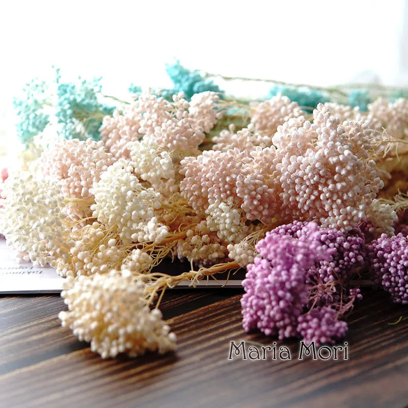 40g/Nordic Style Dried Preserved Flowers Real Natural Floral Millet Flower For Home Wedding Party Office Decoration DIY Material The Home Essentials