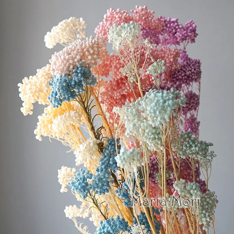 40g/Nordic Style Dried Preserved Flowers Real Natural Floral Millet Flower For Home Wedding Party Office Decoration DIY Material The Home Essentials