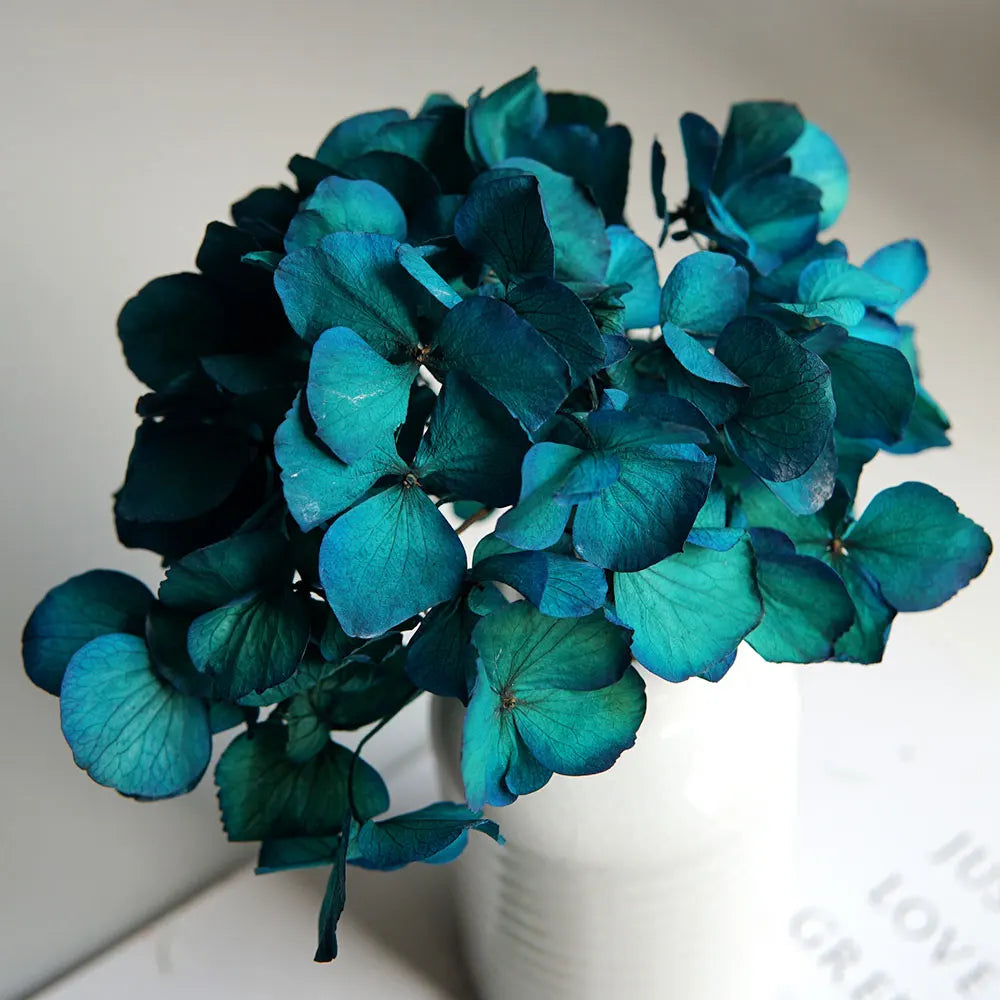 10g/pack Big Petals Macrophylla Hydrangea Preserved Hydrangea Office Decor Preserved Flowers Home Decoration Wedding Decoration