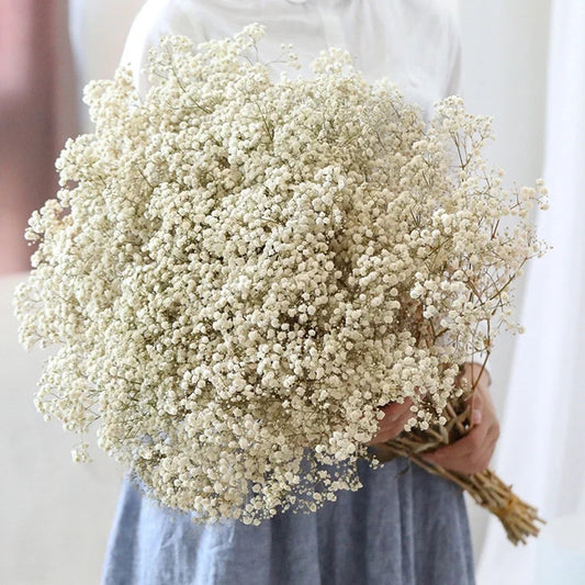 40-50cm Natural Fresh Dried Flowers Gypsophila paniculata,Baby's Breath Flower bouquets,gift & Wedding Decoration,Home Decor The Home Essentials