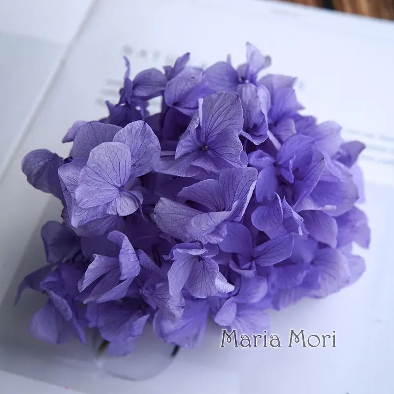 10g/pack Big Petals Macrophylla Hydrangea Preserved Hydrangea Office Decor Preserved Flowers Home Decoration Wedding Decoration