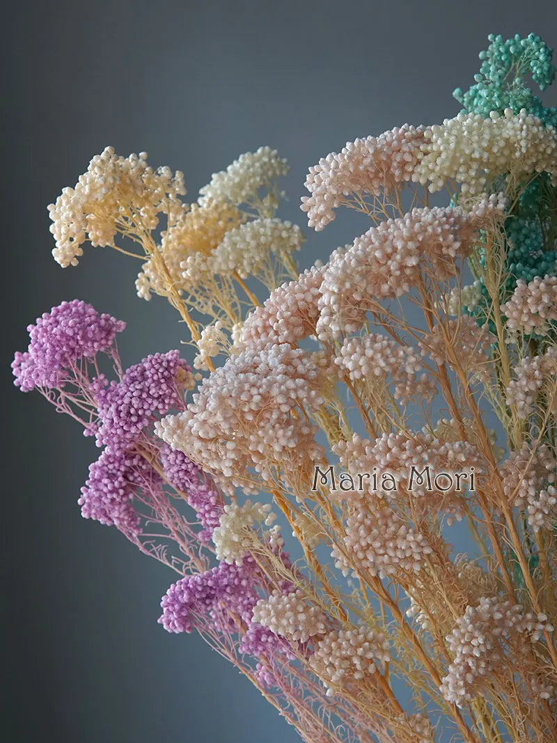 40g/Nordic Style Dried Preserved Flowers Real Natural Floral Millet Flower For Home Wedding Party Office Decoration DIY Material The Home Essentials
