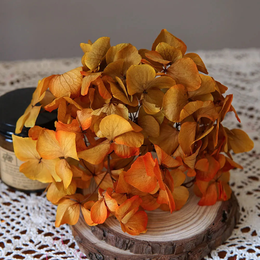 10g/pack Big Petals Macrophylla Hydrangea Preserved Hydrangea Office Decor Preserved Flowers Home Decoration Wedding Decoration