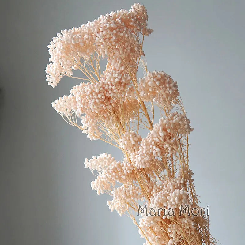 40g/Nordic Style Dried Preserved Flowers Real Natural Floral Millet Flower For Home Wedding Party Office Decoration DIY Material The Home Essentials