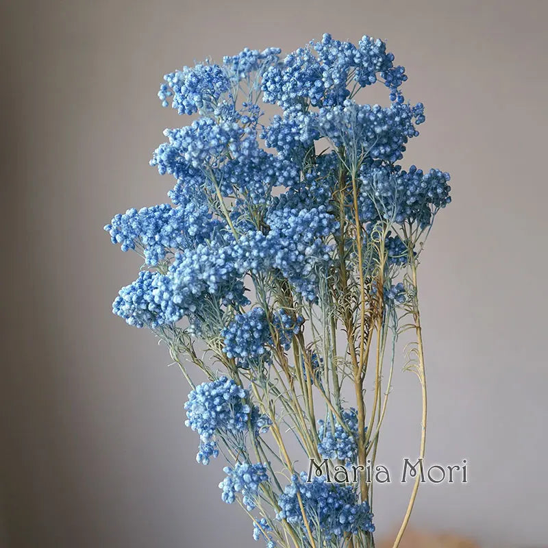 40g/Nordic Style Dried Preserved Flowers Real Natural Floral Millet Flower For Home Wedding Party Office Decoration DIY Material The Home Essentials