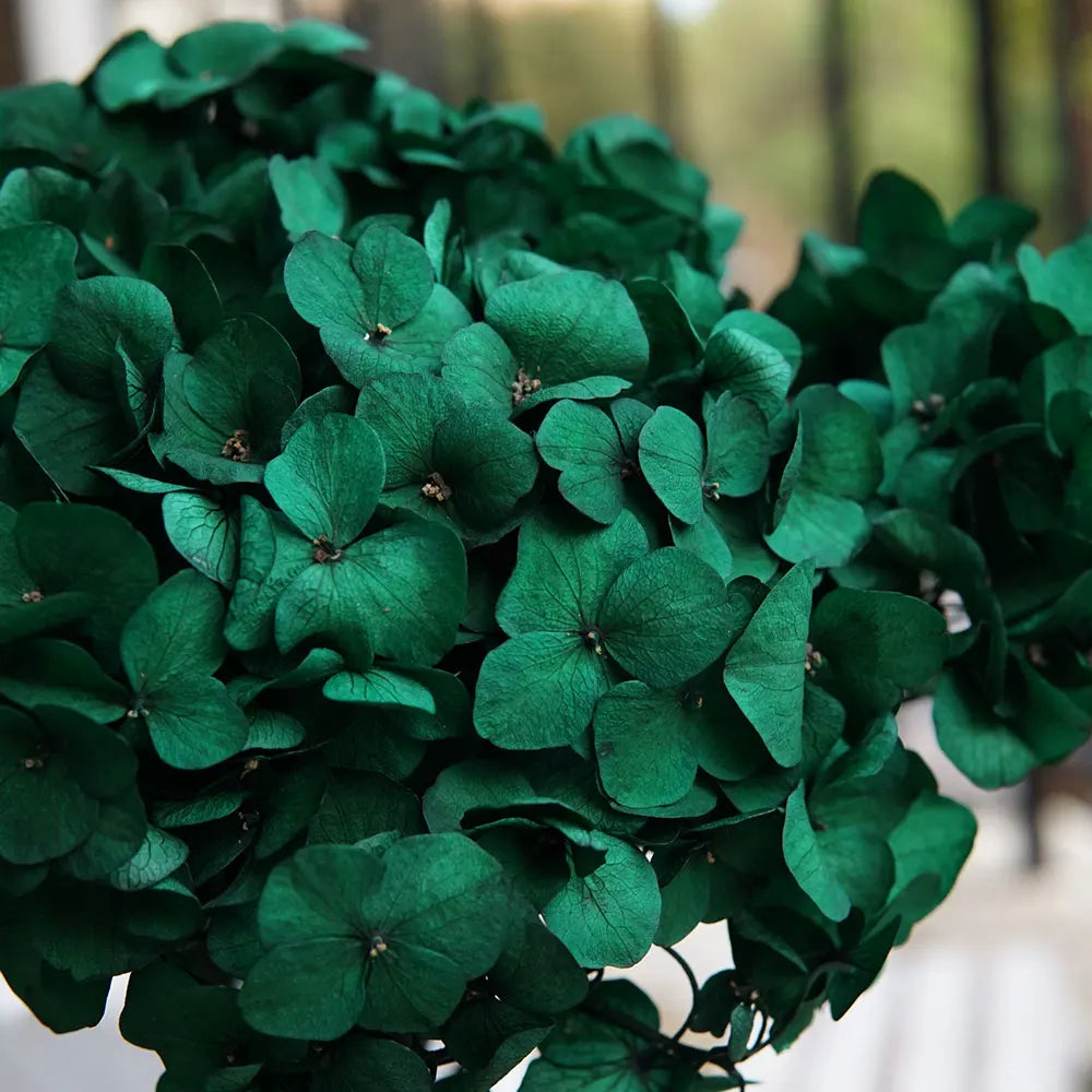10g/pack Big Petals Macrophylla Hydrangea Preserved Hydrangea Office Decor Preserved Flowers Home Decoration Wedding Decoration