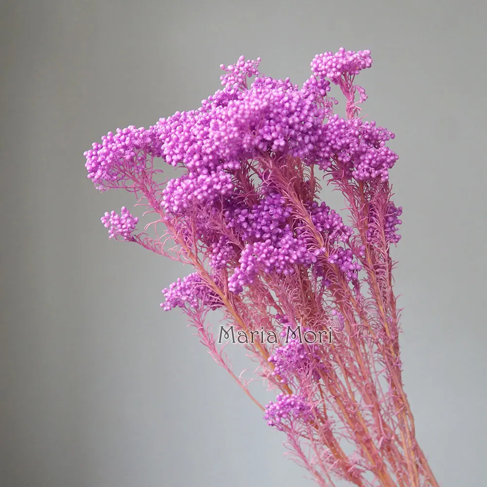 40g/Nordic Style Dried Preserved Flowers Real Natural Floral Millet Flower For Home Wedding Party Office Decoration DIY Material The Home Essentials
