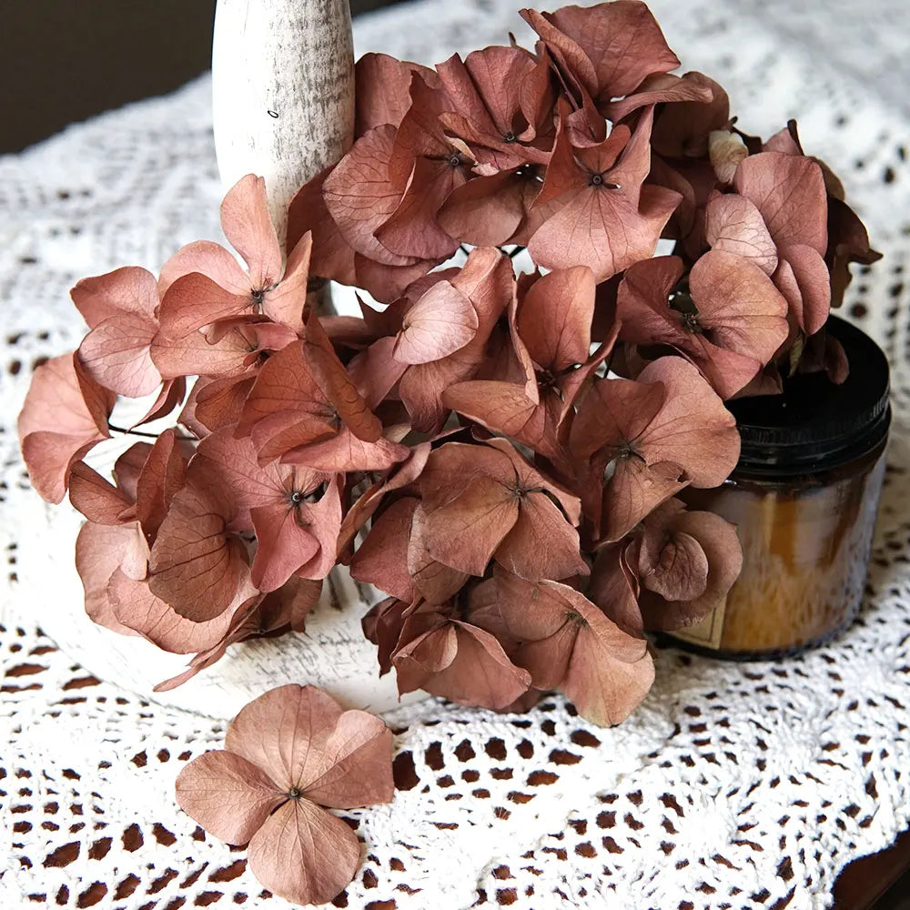 10g/pack Big Petals Macrophylla Hydrangea Preserved Hydrangea Office Decor Preserved Flowers Home Decoration Wedding Decoration